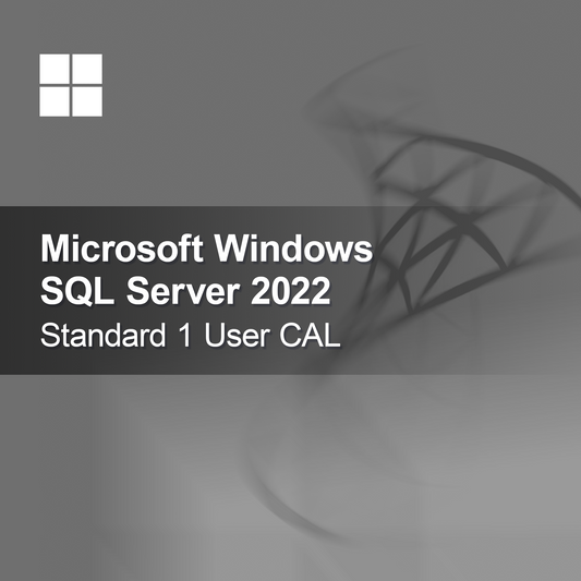 Microsoft SQL Server 2022 Standard 1 uživatelská CAL