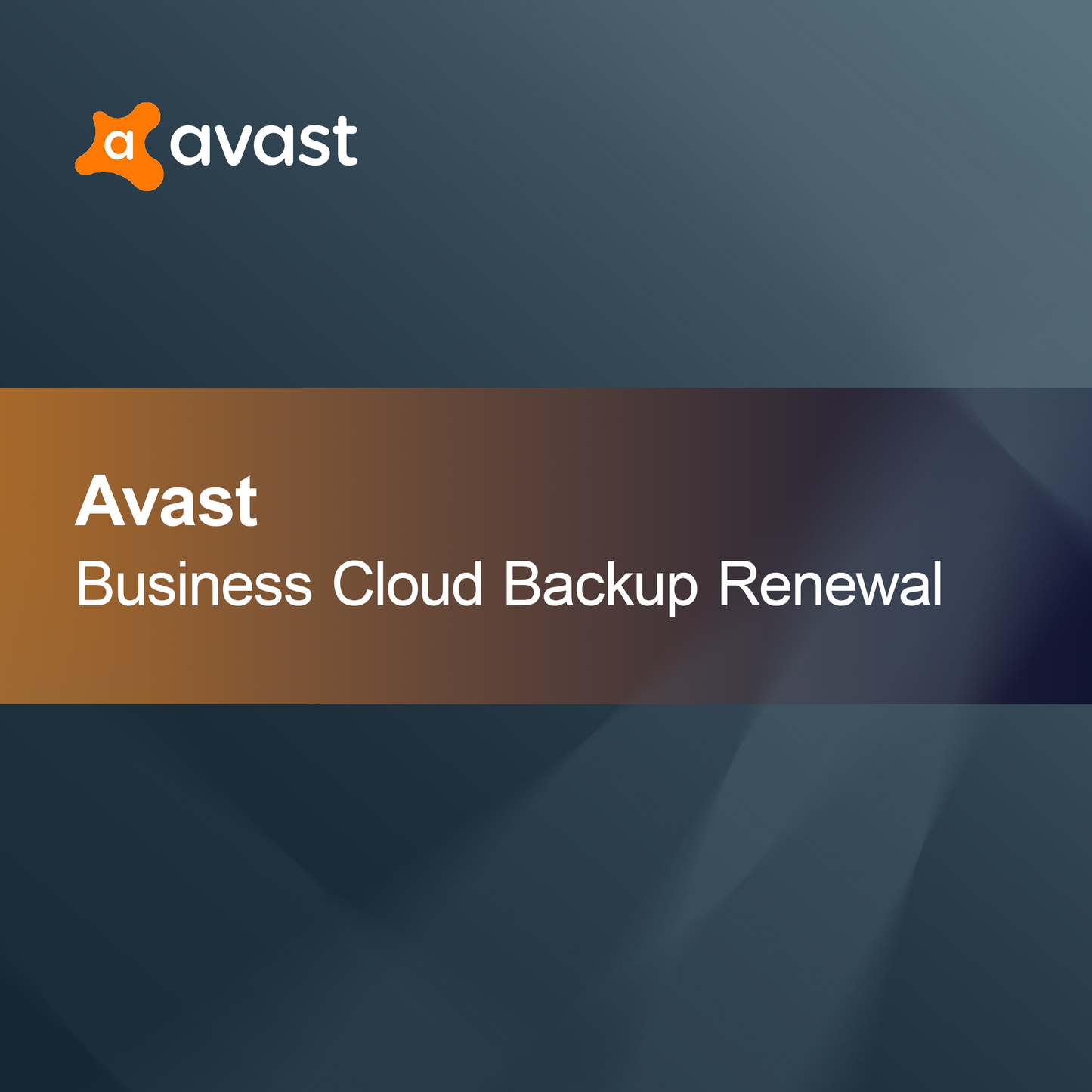 Obnovení správy záplat Avast Business