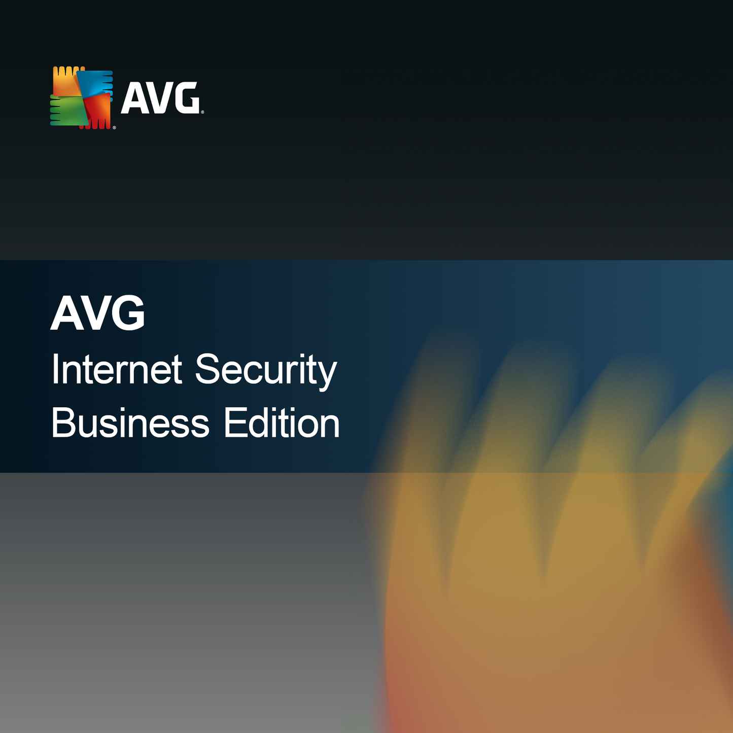 AVG Internet Security Poslovna izdaja
